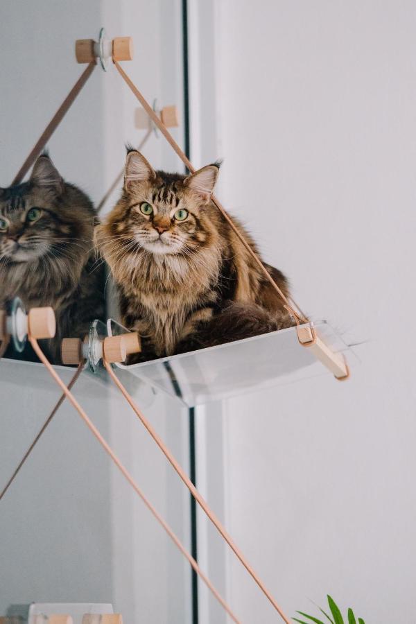 Meow Cafe & Hotel Patong Eksteriør bilde